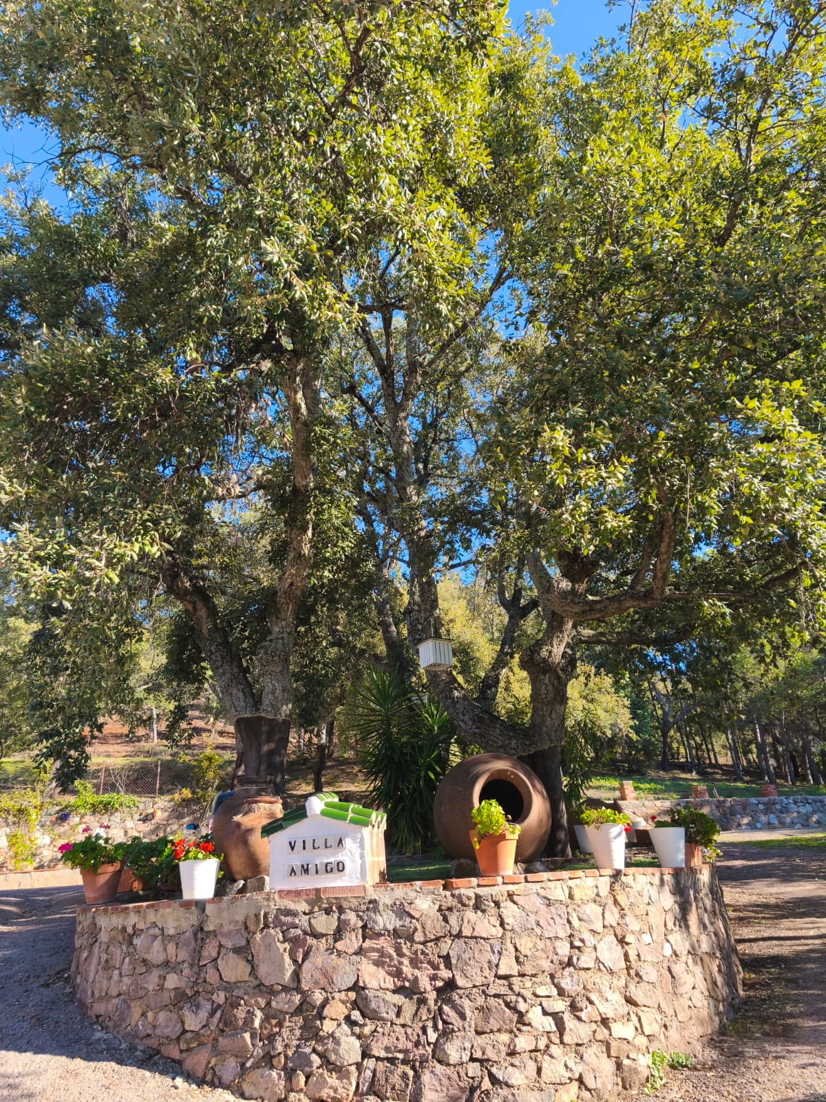 Zona exterior de Villa Amigo