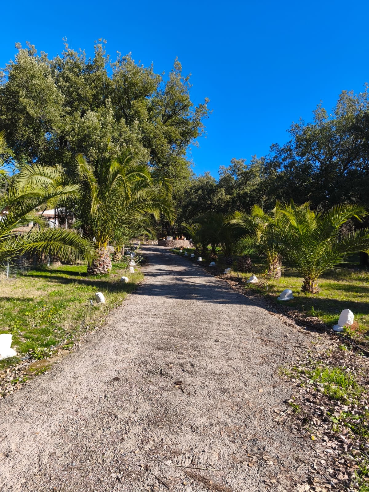 Jardín de Villa Amigo